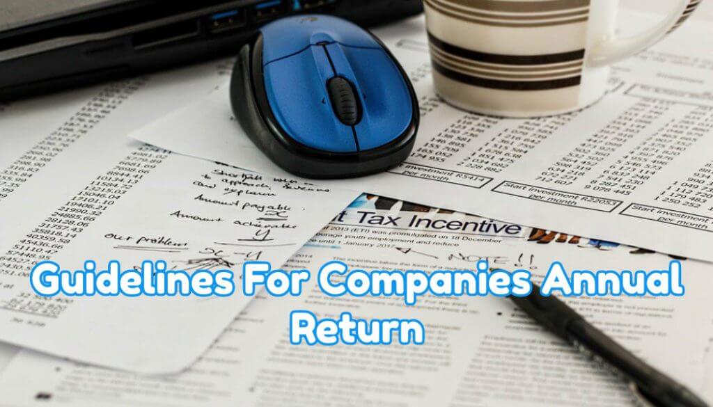 guidelines for companies annual return