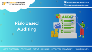 risk-based auditing for SMEs and MSMEs